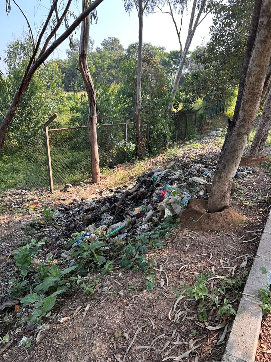 A long strip of dumped, partly burnt garbage along the north path, inside the fence, under trees.